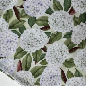 IMG_5122 IMG_5122